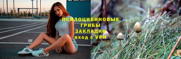каннабис Инта