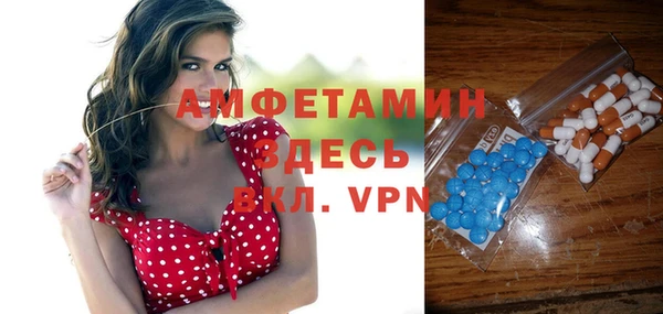 сатива Инсар
