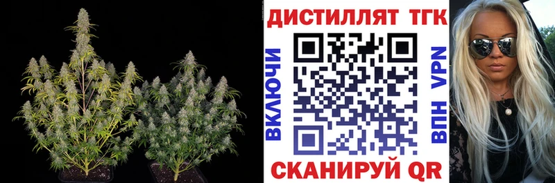 Дистиллят ТГК гашишное масло  магазин продажи   Спас-Деменск 